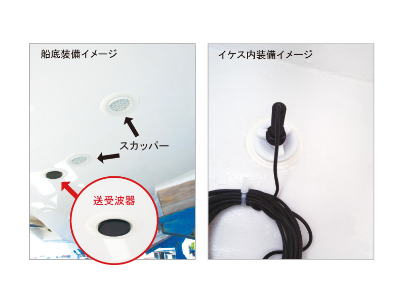 船底＆イケス内イメージ