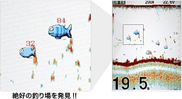 お魚サイズ