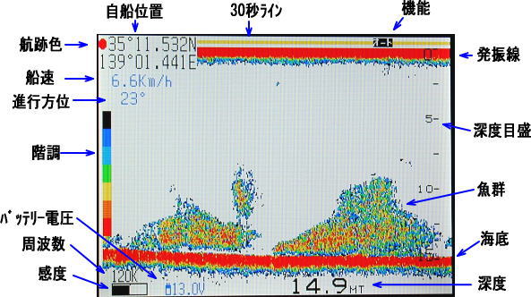 海探R 魚探画面1 海探R 魚探画面1